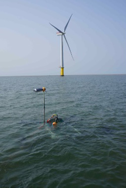 Seatrench Operation 1